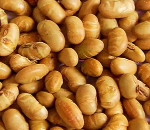 Salted Soya Nuts