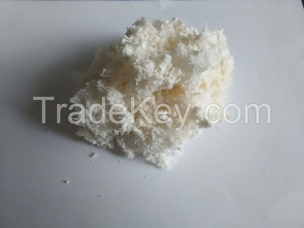 DEAE-L52 cellulose