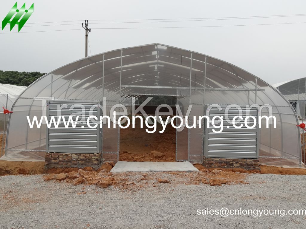 Single Tunnel Greenhouse on Sale