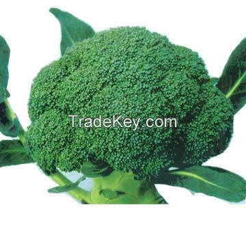 sulforaphane