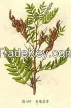 Glabridin  Licorice extrac