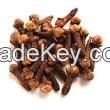 clove , cengkeh ( ( Syzygium aromaticum, syn. Eugenia aromaticum)