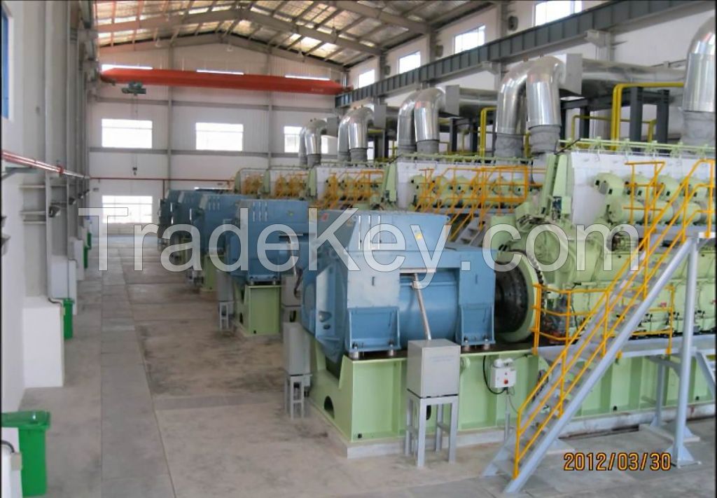 HFO/Diesel  power plant project