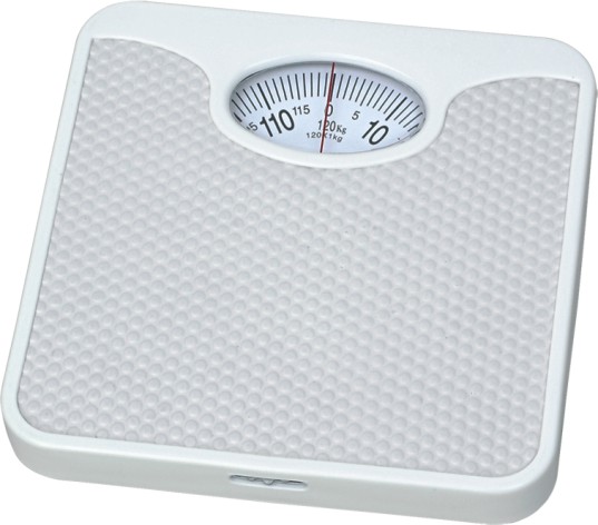 bathroom scales 9858