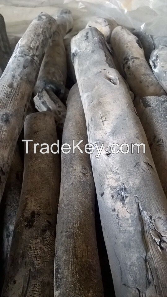 Eucalyptus white charcoal ( Binchotan)