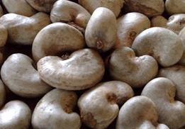 Raw Cashew Nuts