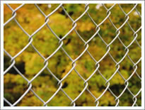 Protection Netting,Fence,Diamond Wire Mesh,Edging,Protecting Fence