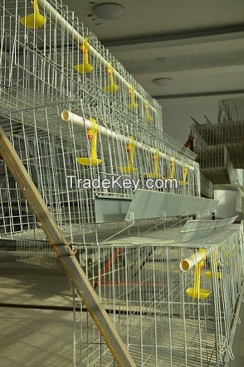 high quality and cheap galvanized welded chicken cage wire mesh 