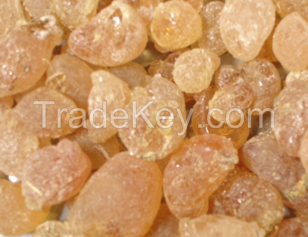 Gum Arabic