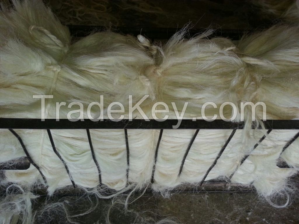 Sisal Fiber(Agave sisalana) of Kenyan Origin With Free Samples