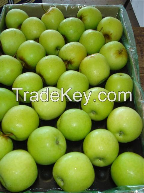 Fresh Royal Gala Apples, Fuji Apples, Golden Delicious Apples, Red Delicious Apples For sale