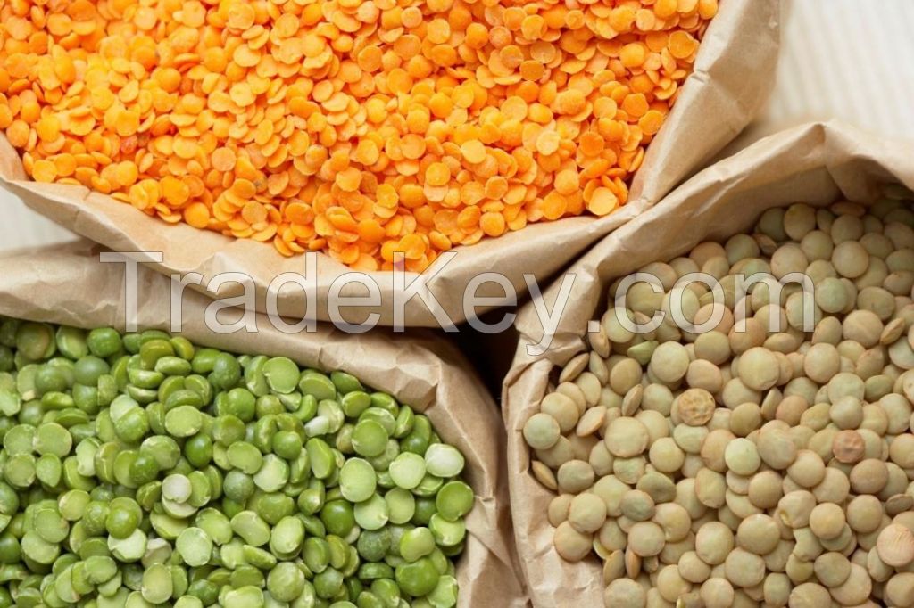 Kidney beans, Black beans, Lentils, Chickpeas, Mung beans, Soybeans