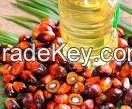 palm oil