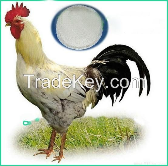 Poultry Feed Ingredients