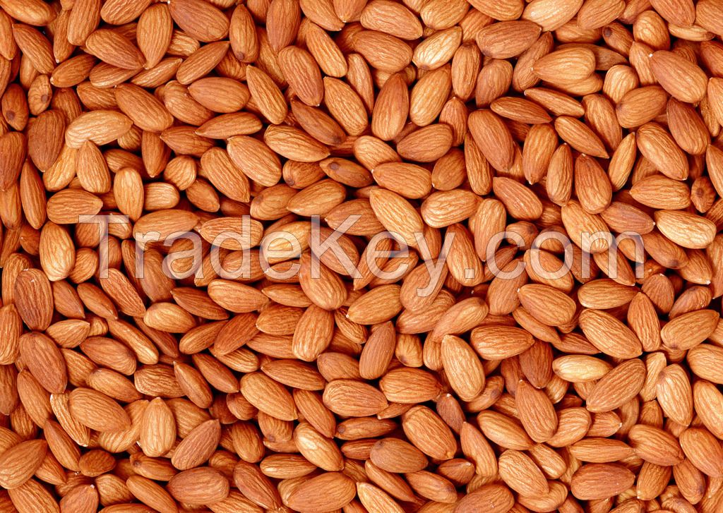 California Shelled Almonds