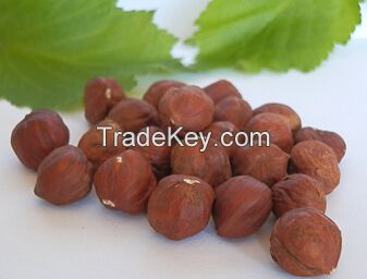 ORGANIC HAZELNUTS RAW, NO SHELL