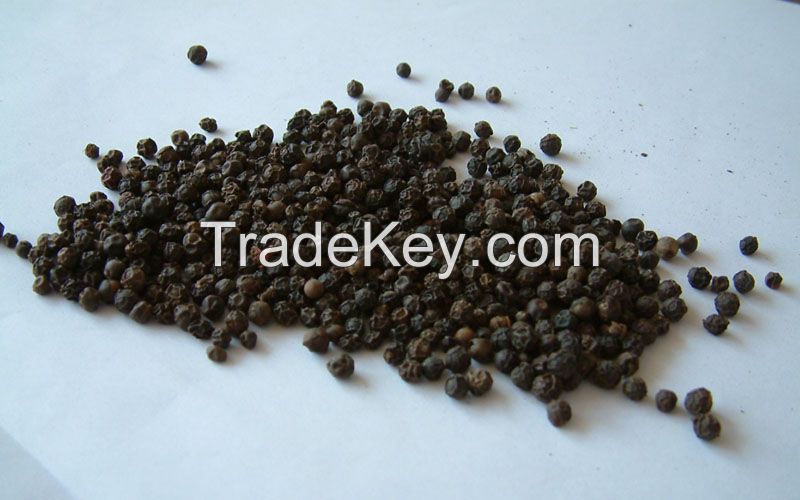 Black Pepper 500g/l, 550g/l New crop