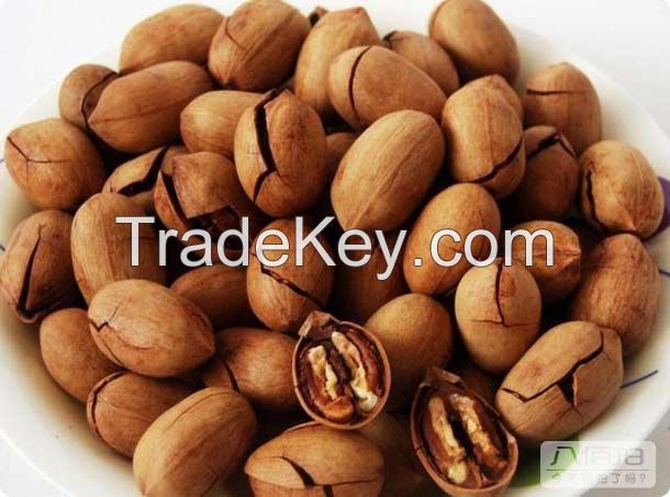 Organic Pecan Nuts