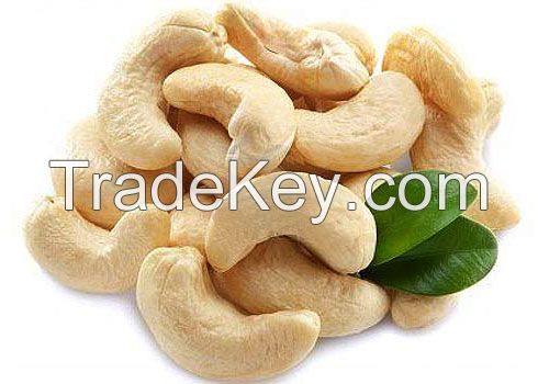 100% High Quality Salted Roasted Cashew Nuts