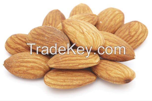 Almond Kernels/Grade A Almond Nuts/almond without shell