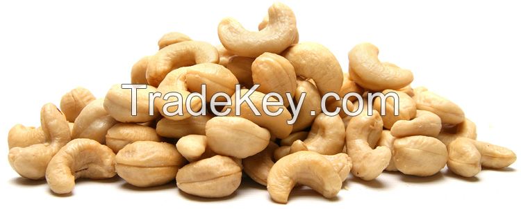 High Quality Raw Cashew Nuts w-240 cashew nuts