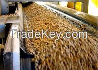 Mixer Wood Pellets