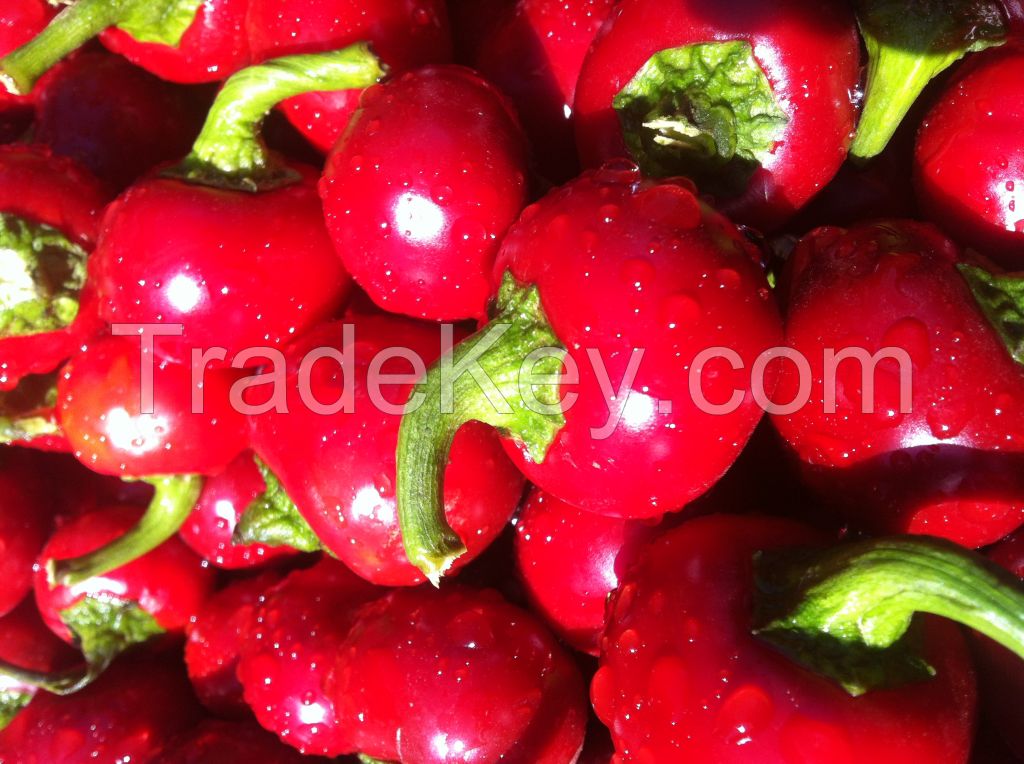 Cherry Pepper BULK