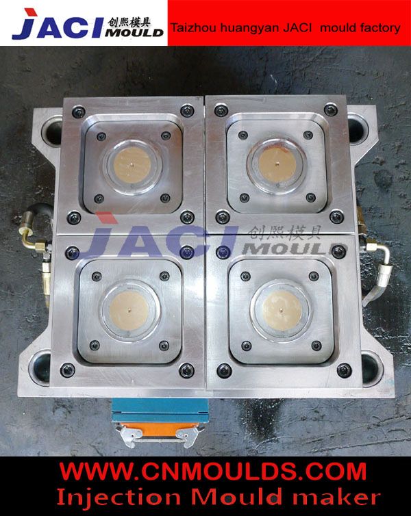 IML Mould