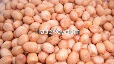 Peanut kernels/blanched peanuts/peanuts in shell