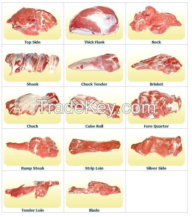 Frozen Beef / Buffalo Meat And Offals ready for supply