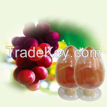 Grape Seed Extract