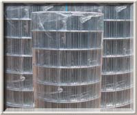 Stainless Steel Welded Wire Mesh