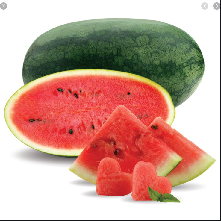 High Quality Fresh Water Melon Fruit  