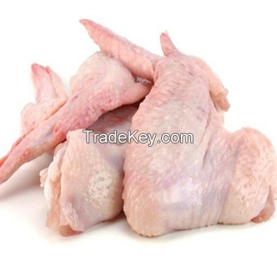 Halal Frozen Chicken Wings for sale