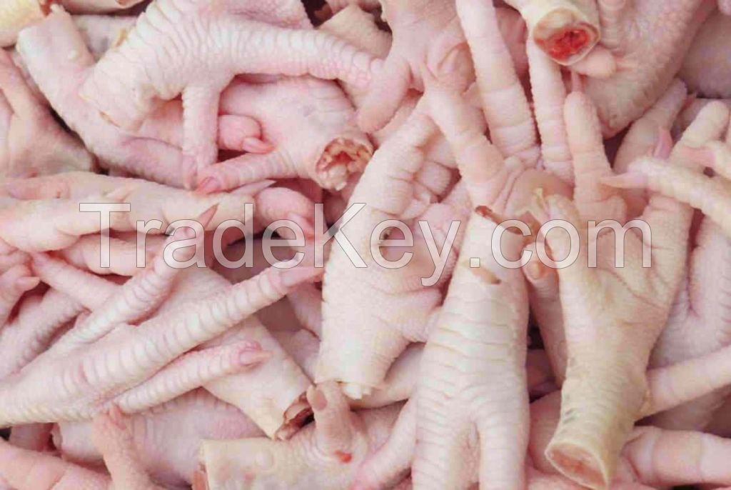  Chicken Feet for sale