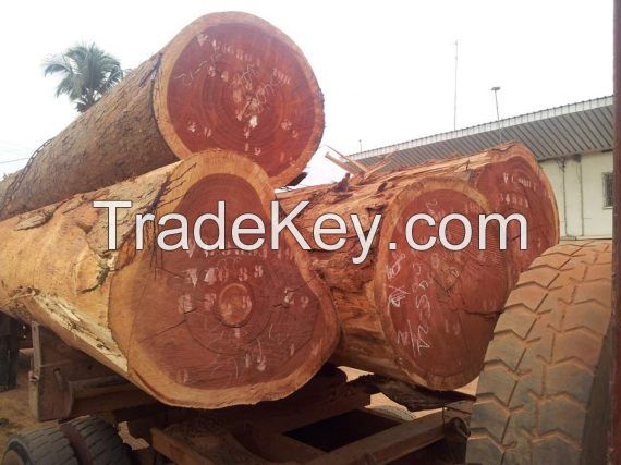 Sapele wood 