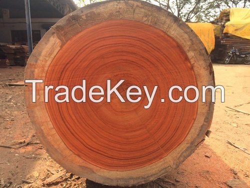 Padauk wood 