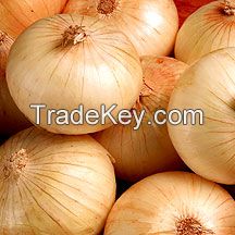   Yellow Onion 