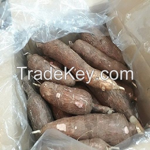 FRESH CASSAVA TUBERS and SWEET TAPIOCA FRESH CASSAVA for sale