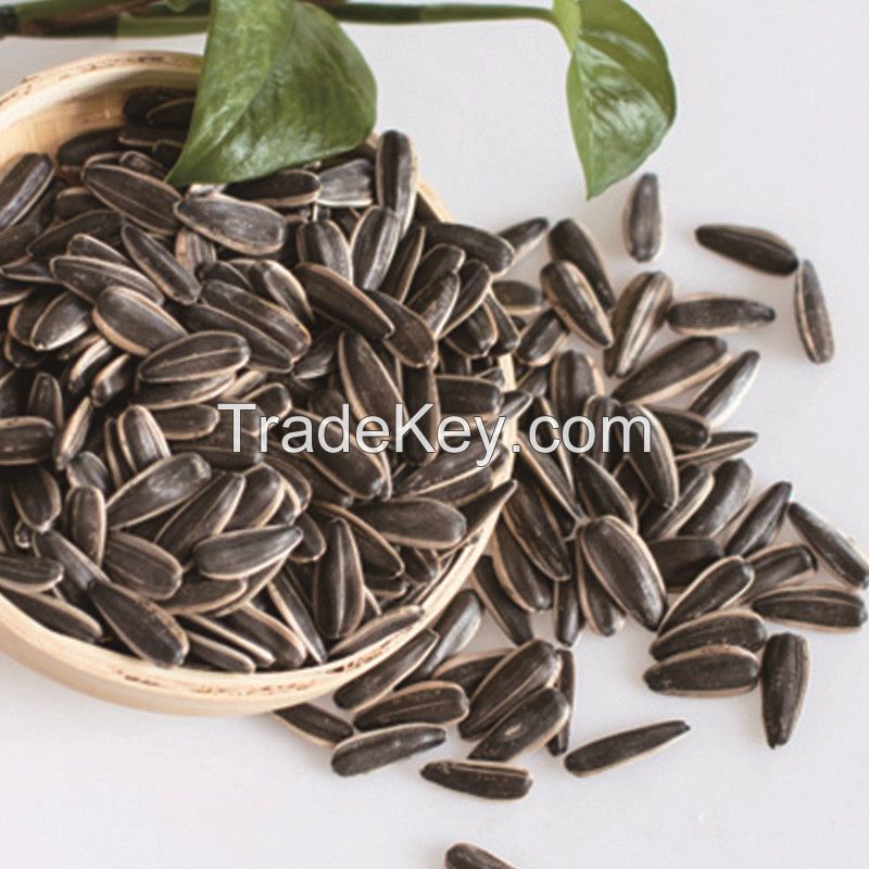 All Kinds of Black White Sunflower Seeds for Oil Extraction from South Africa 