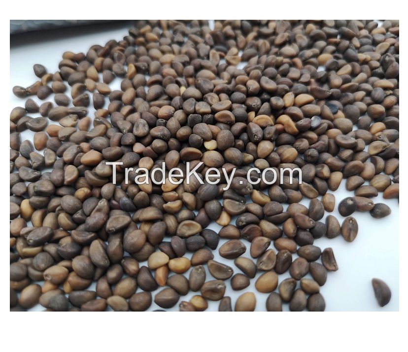 All Kinds of Black White Sunflower Seeds for Oil Extraction from South Africa 