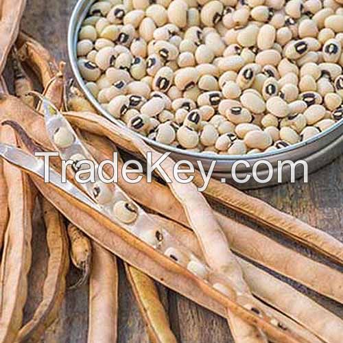 White Cowpea/Black Eye Bean (Vigna Beans)