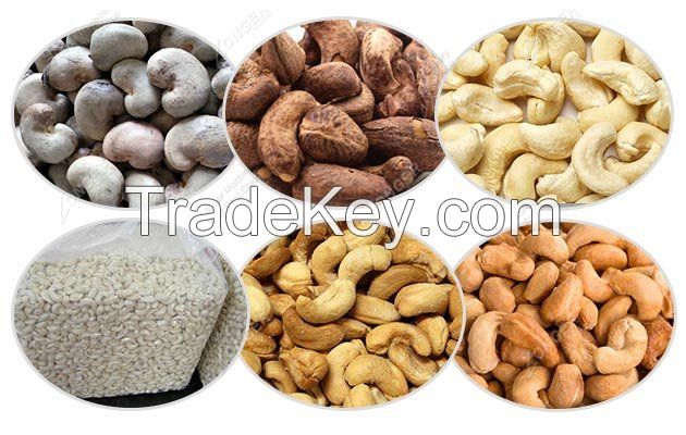 Cashew Nuts W320 W240 Export Cashew Nuts From  Germany