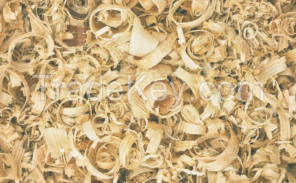 Wood shavings