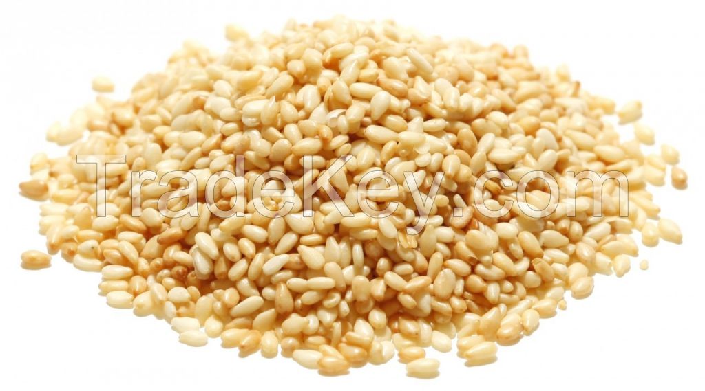 Sesame seeds Oil Content Min.48%, 50%, 52%
