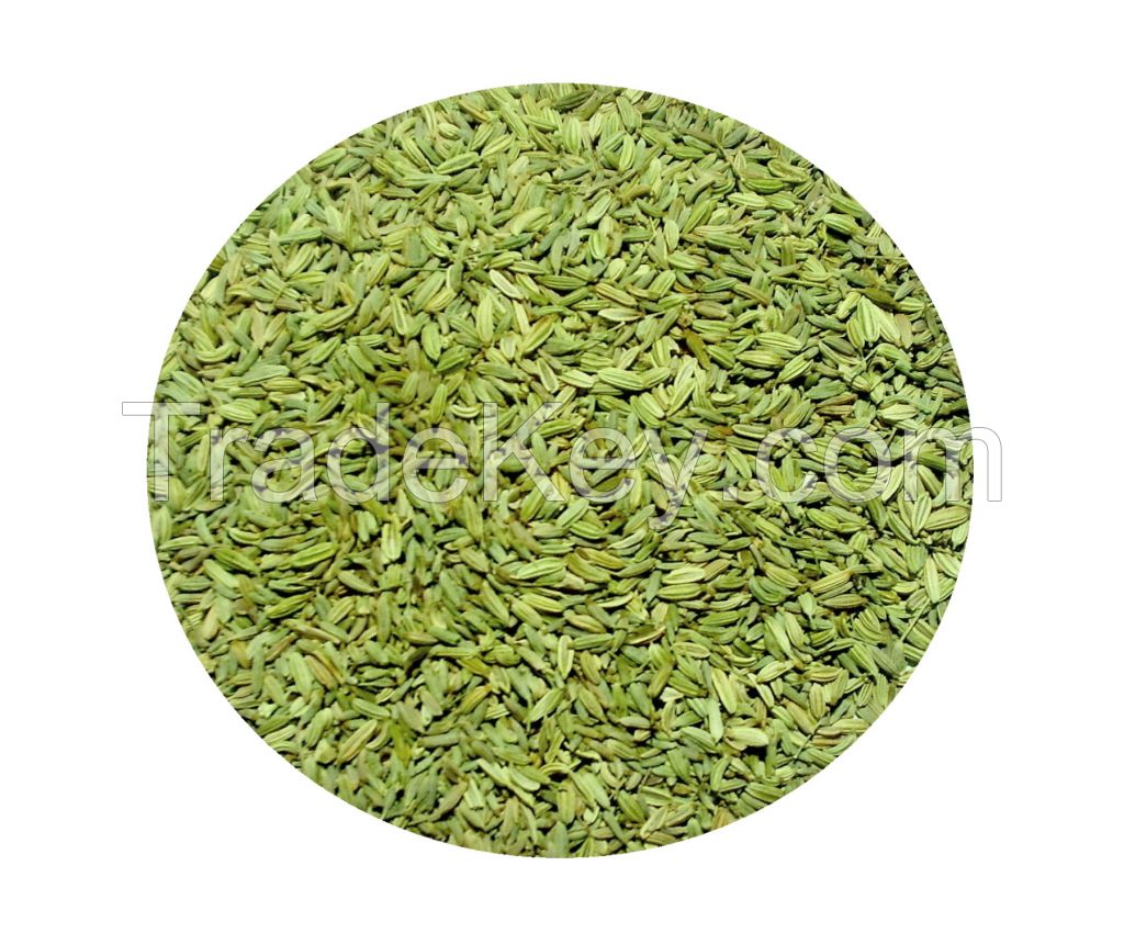 Fennel Seeds