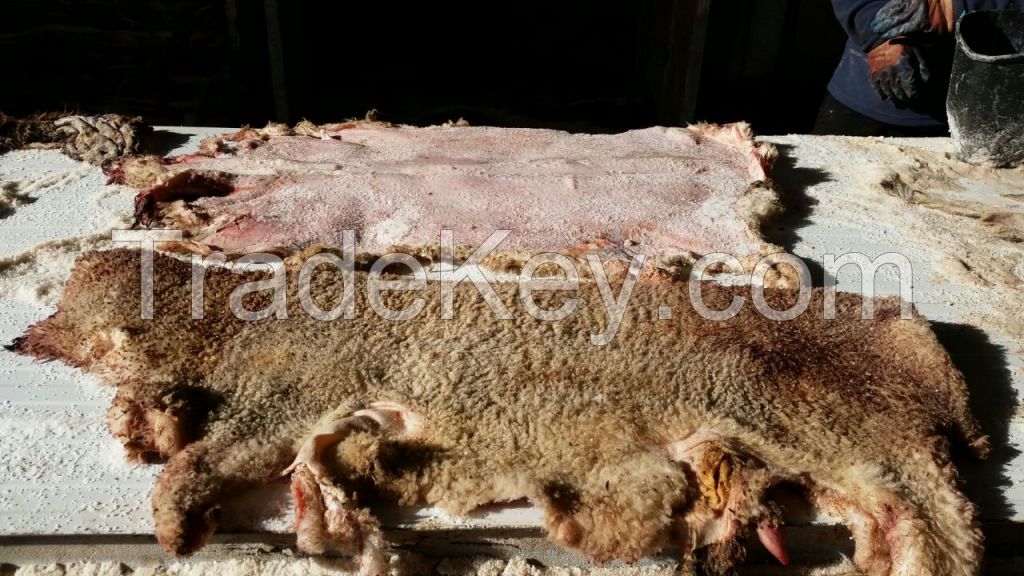 Merino Lamb hides