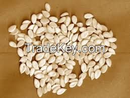 Melon Seeds