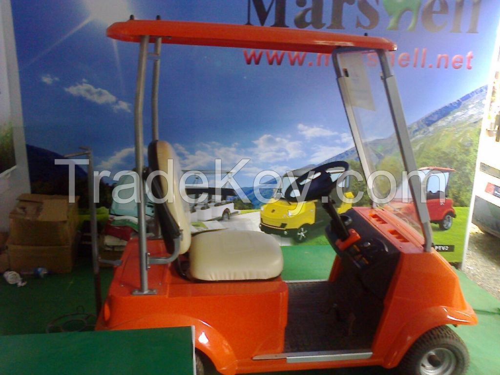 Electric Golf Buggy