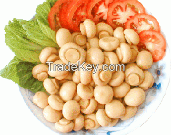 Chinese canned whole mushroom champignon in brine